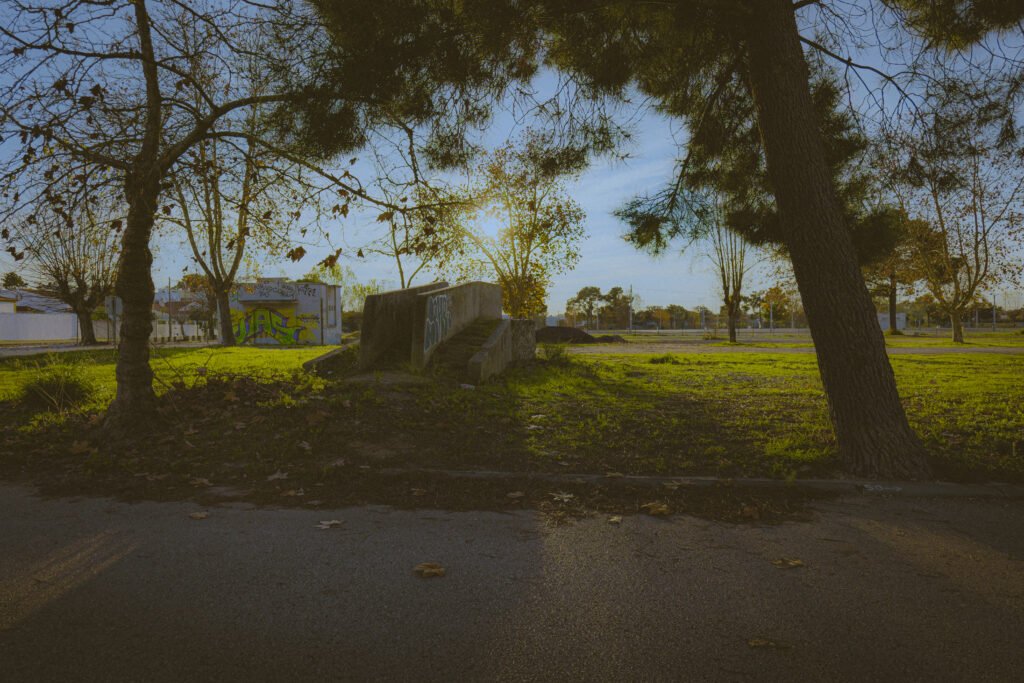 V1